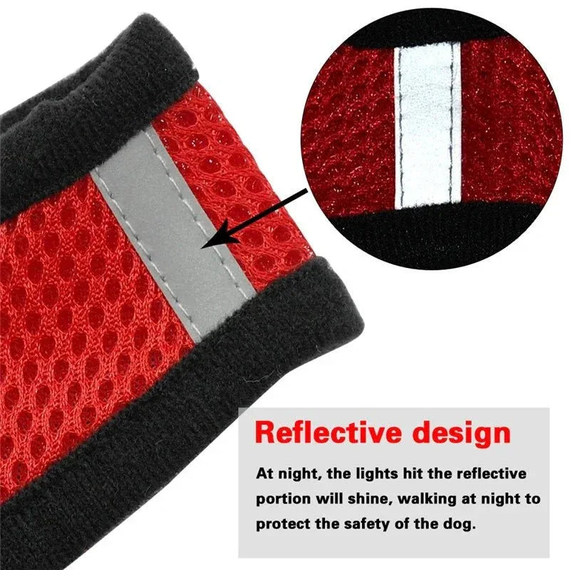 Dog Harness for Small Dogs - Happy Tails - paws & love