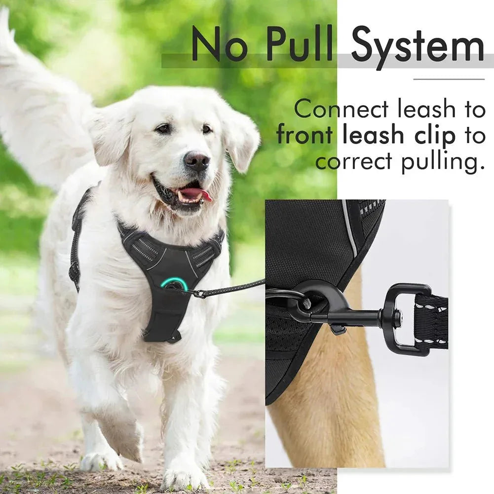 Dog Harness No-Pull - Happy Tails - paws & love