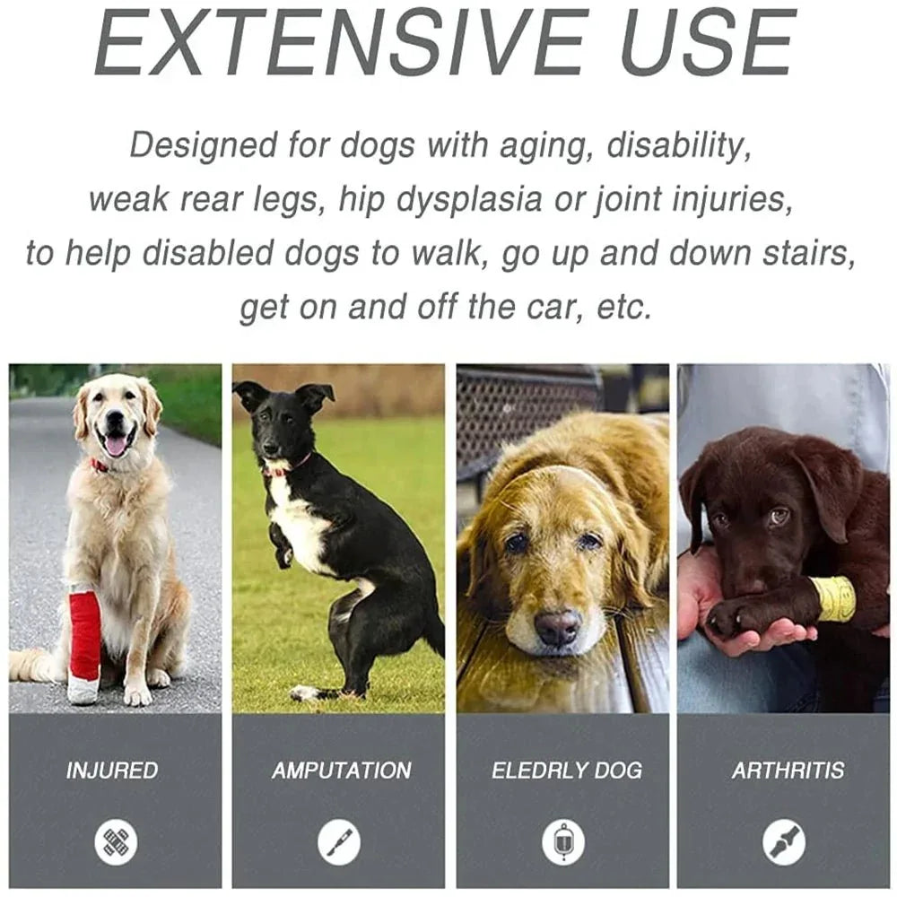 Dog Support Harness - Happy Tails