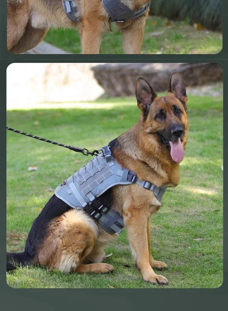 No-Pull Service Dog Vest - Happy Tails