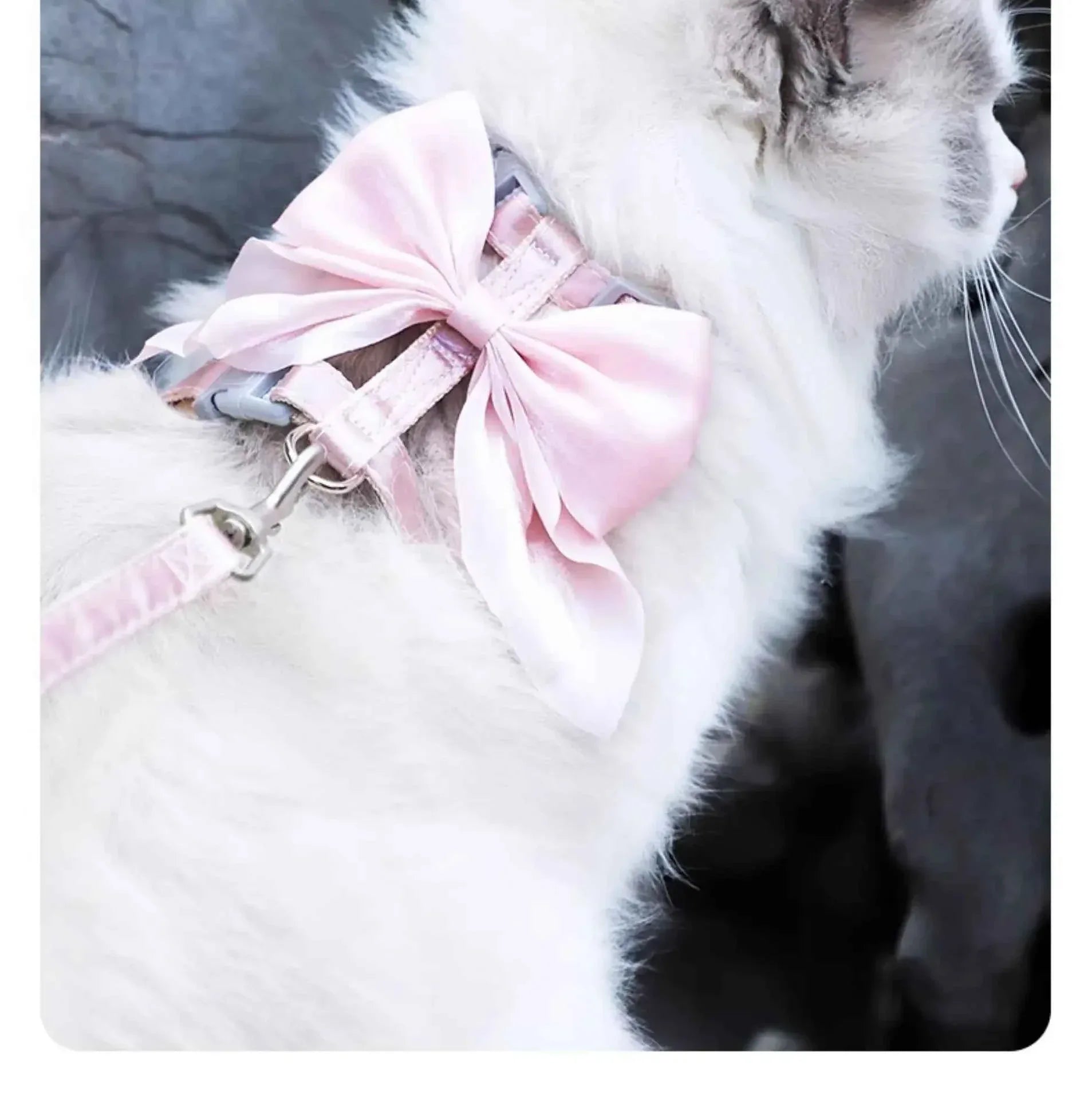 Adjustable Pet Harness - Happy Tails - paws & love