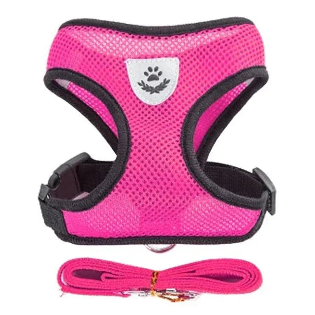 Feline Freedom Cat Harness - Happy Tails - paws & love