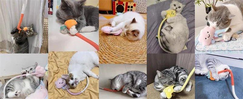 Feline Frenzy Interactive Cat Toy - Happy Tails - paws & love