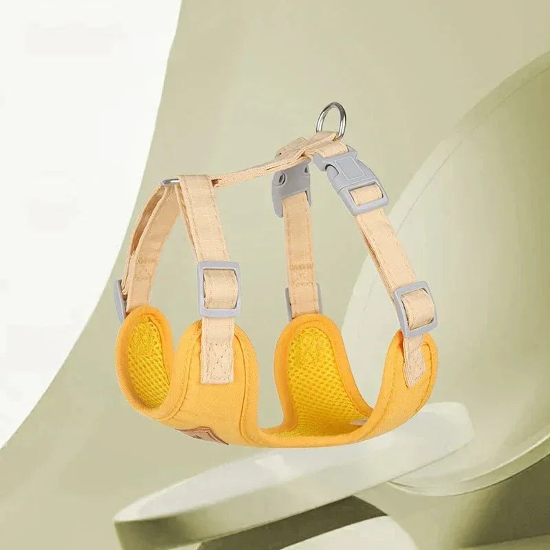 Cat Puppy Outdoor Walking Gear for Stylish Adventures - Happy Tails - paws & love