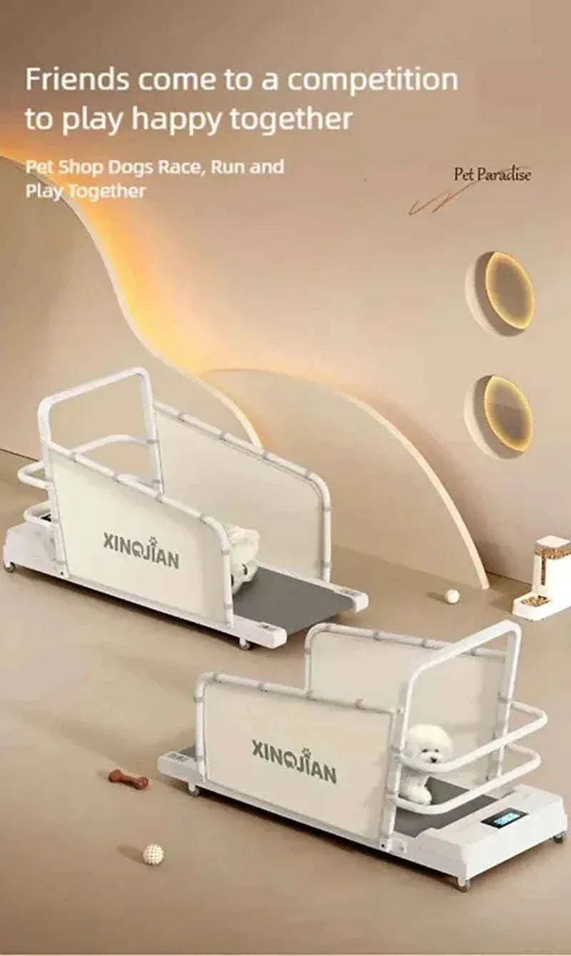 Pet Treadmill for Dogs and Cats - Happy Tails - paws & love