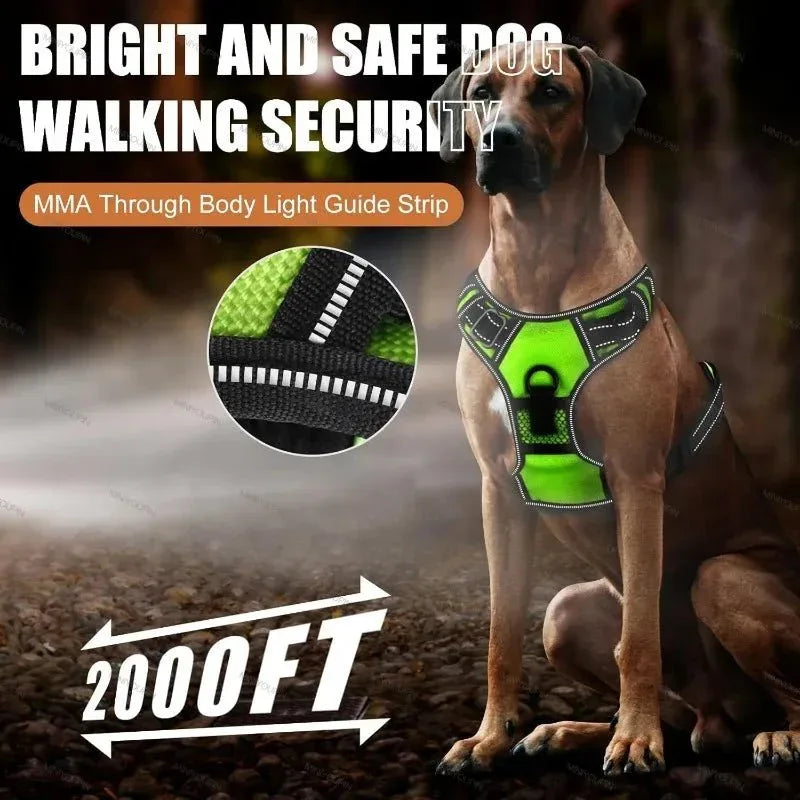 LED Dog Harness - Happy Tails - paws & love