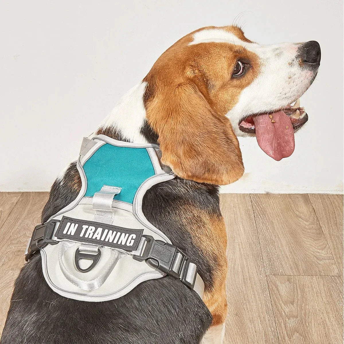 Dog Harness No Pull - Happy Tails - paws & love