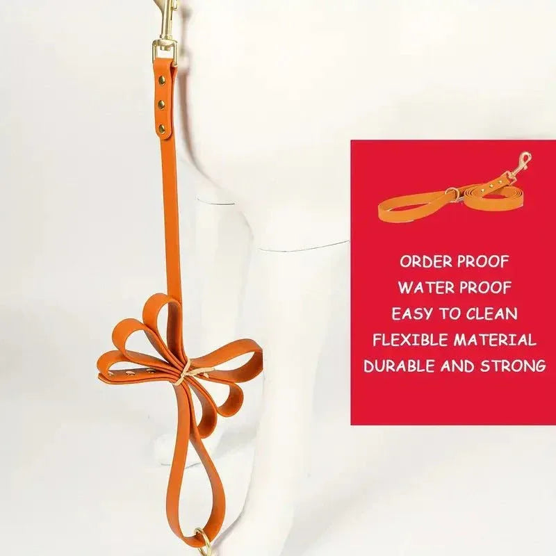 Dog Leash - Happy Tails - paws & love