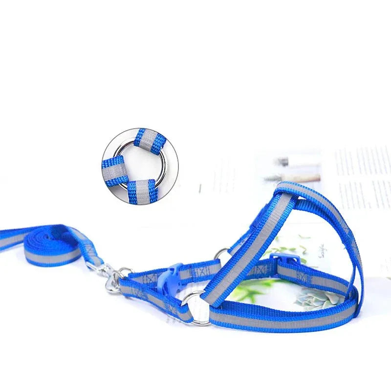 Dog Harness for Small Dogs - Happy Tails - paws & love