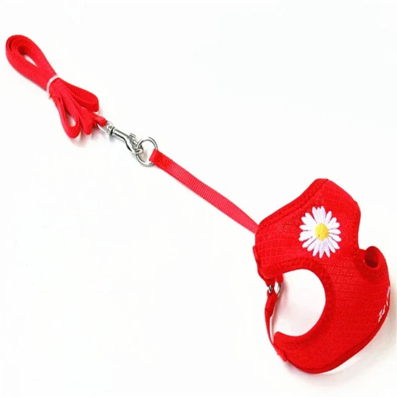 Cute Little Pet Harness - Happy Tails - paws & love