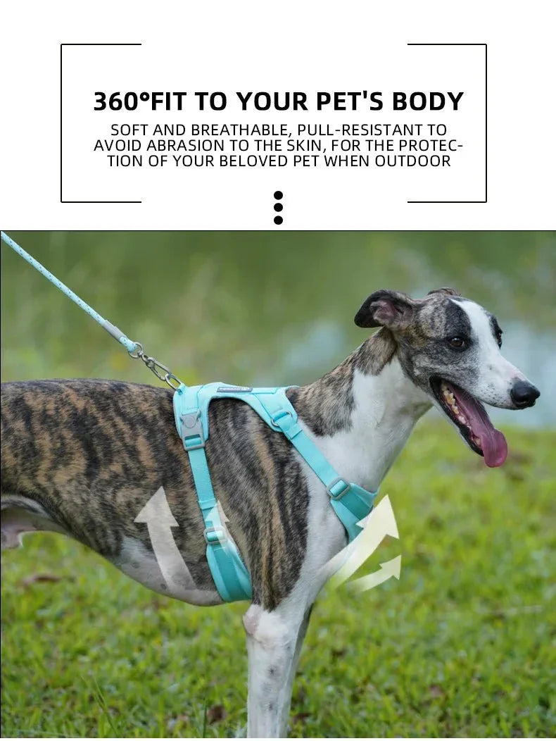 Adjustable Pet Harness - Happy Tails - paws & love