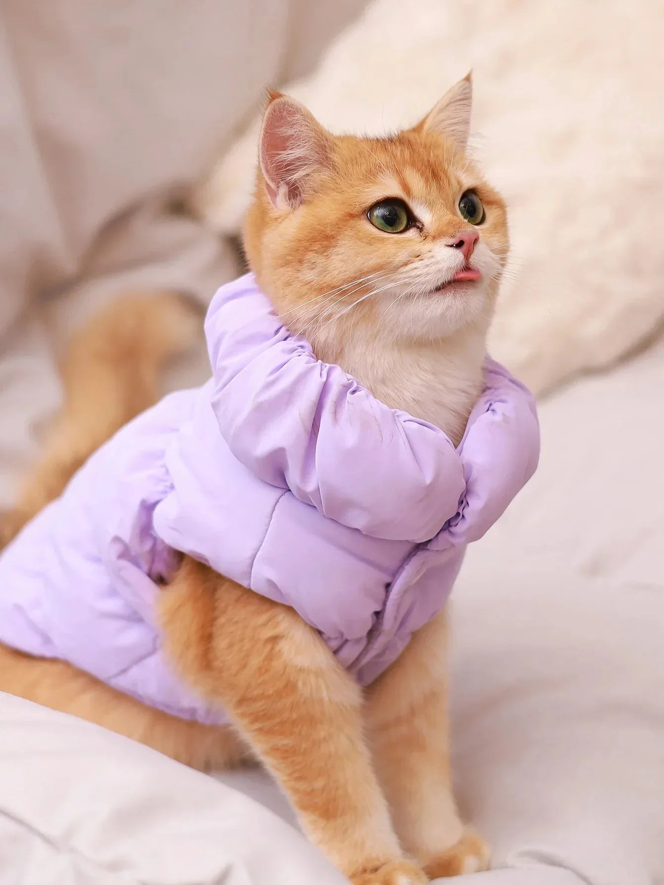 CozyPaws Premium Winter Coat - Happy Tails