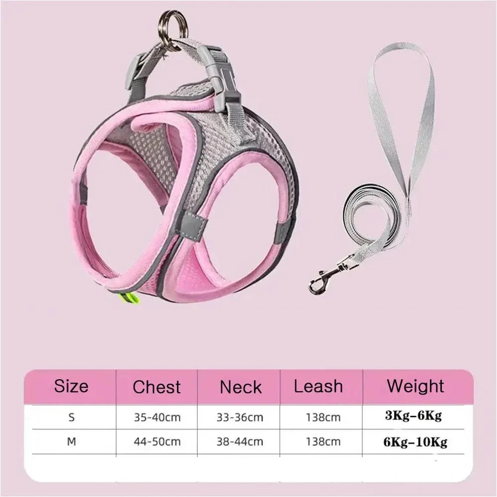 Dog Harness & Collar Set - Happy Tails - paws & love