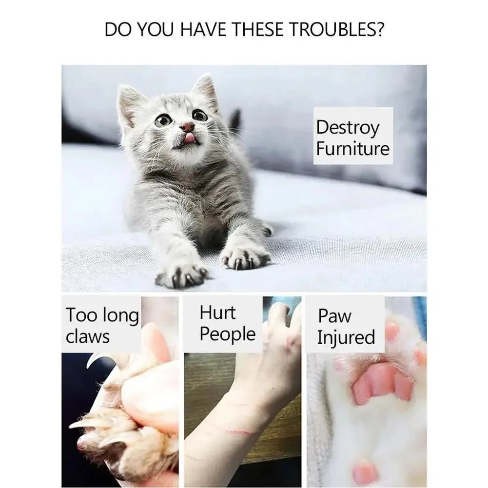 Cat Scratcher Board - Happy Tails - paws & love