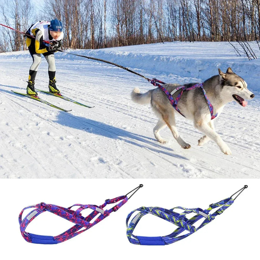 Dog Sledding Harness - Happy Tails - paws & love