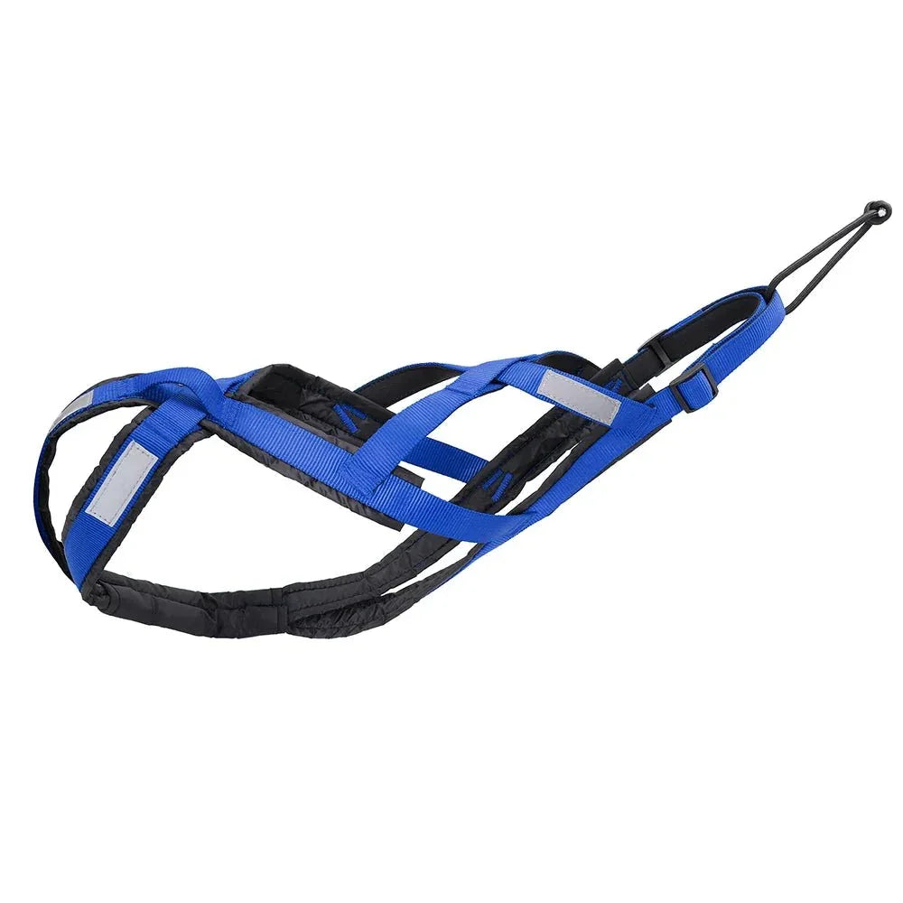 Dog Sled Harness - Happy Tails - paws & love