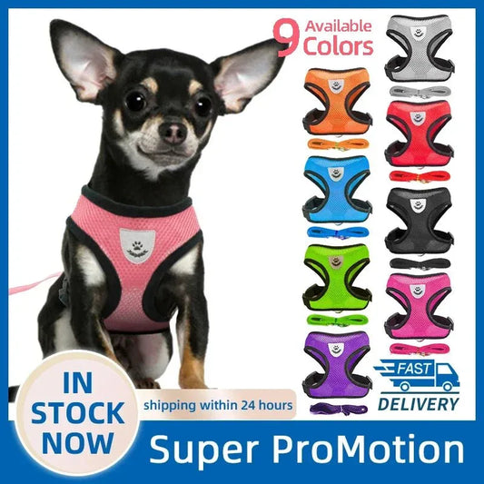 Dog Harness for Small Dogs - Happy Tails - paws & love