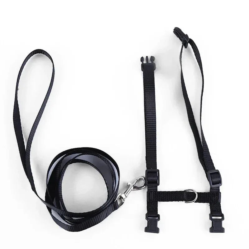 Kitten Adventures Harness & Leash Set - Happy Tails