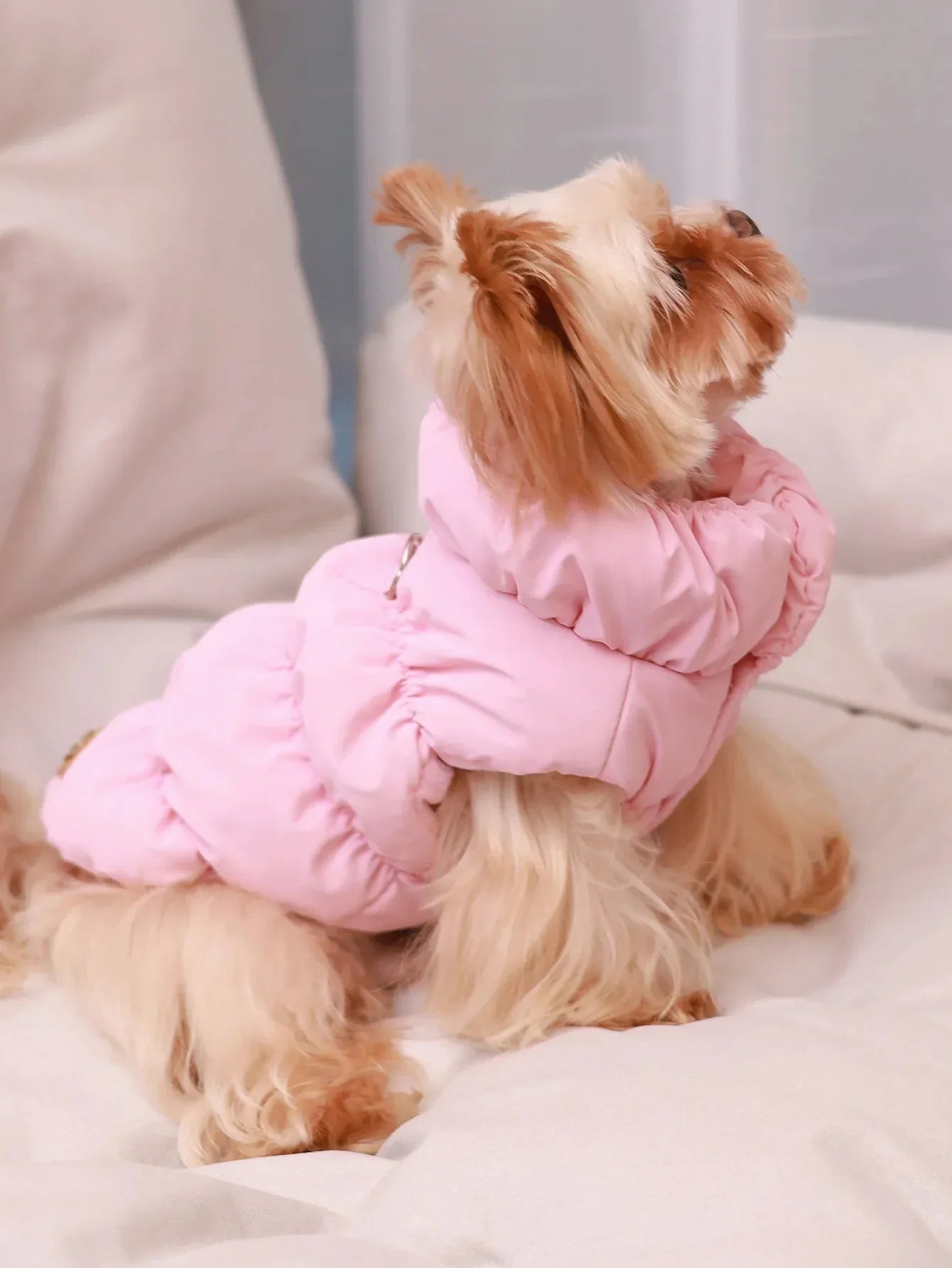 CozyPaws Premium Winter Coat - Happy Tails - paws & love