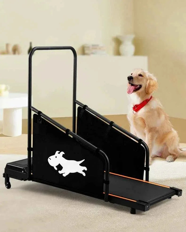 Pet Walking Machine for Indoor Exercise and Fitness - Happy Tails