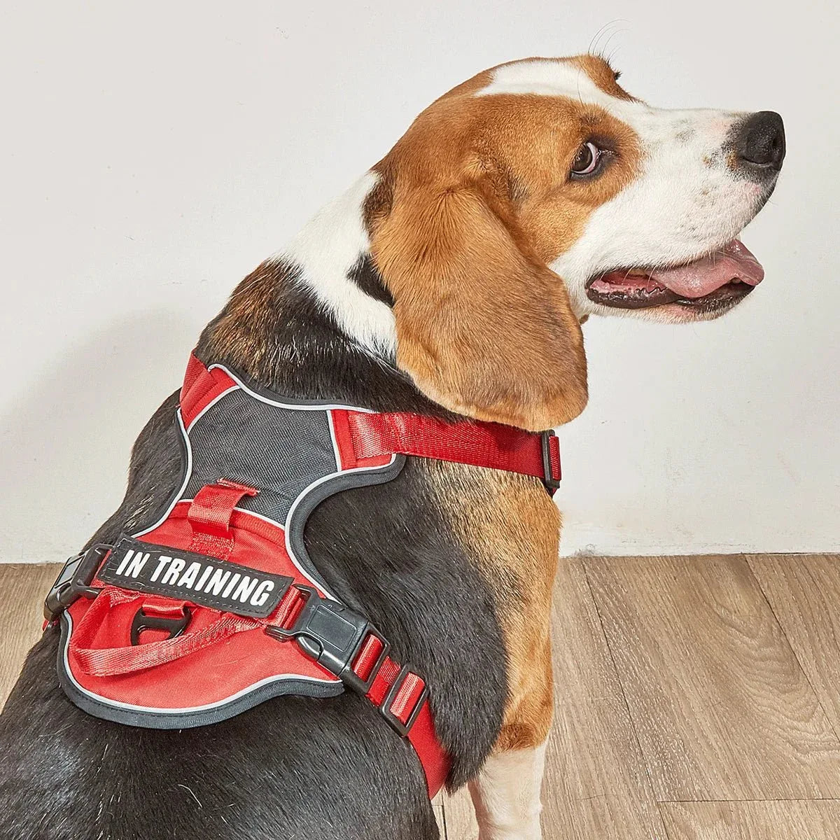 Dog Harness No Pull - Happy Tails - paws & love