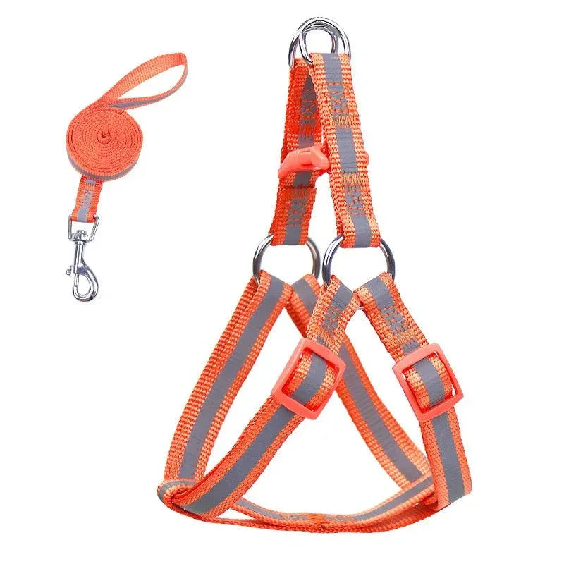 Dog Harness for Small Dogs - Happy Tails - paws & love