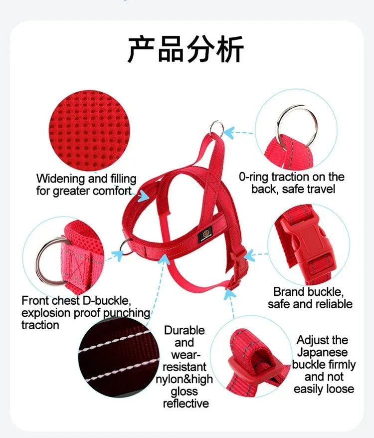 A Small Dog Harness for Comfort and Control - Happy Tails - paws & love