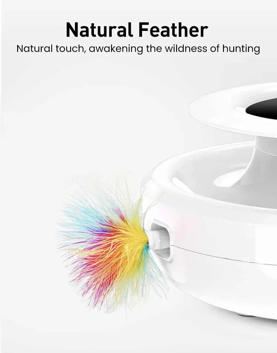 Interactive Cat Toy Set - Happy Tails - paws & love