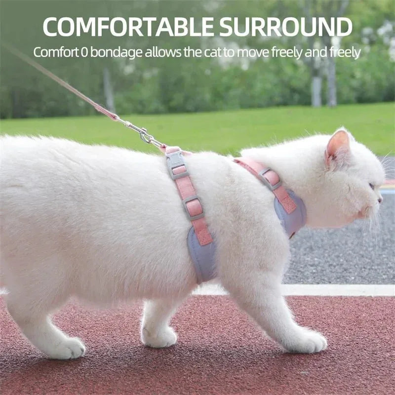 Cat Puppy Outdoor Walking Gear for Stylish Adventures - Happy Tails - paws & love