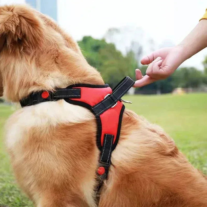 Saddle Dog Harness - Happy Tails - paws & love