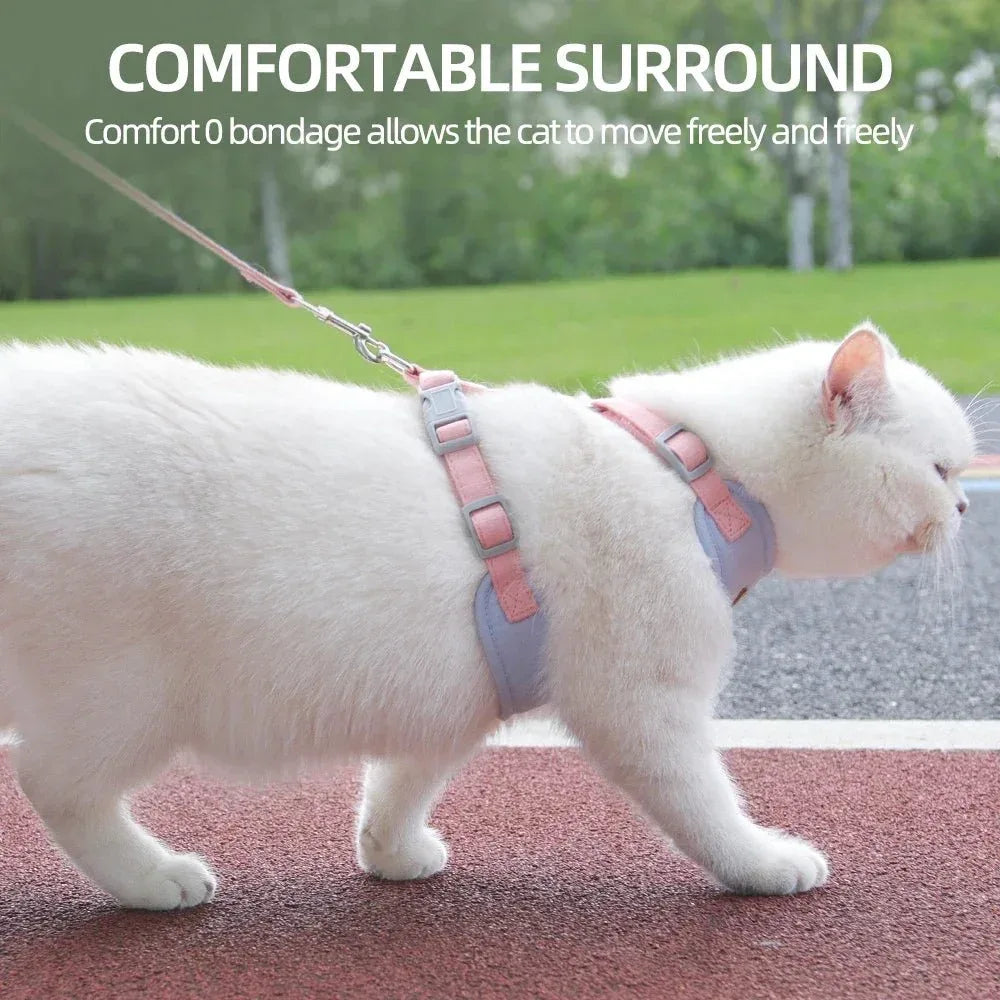 Cat Puppy Outdoor Walking Gear for Stylish Adventures - Happy Tails - paws & love