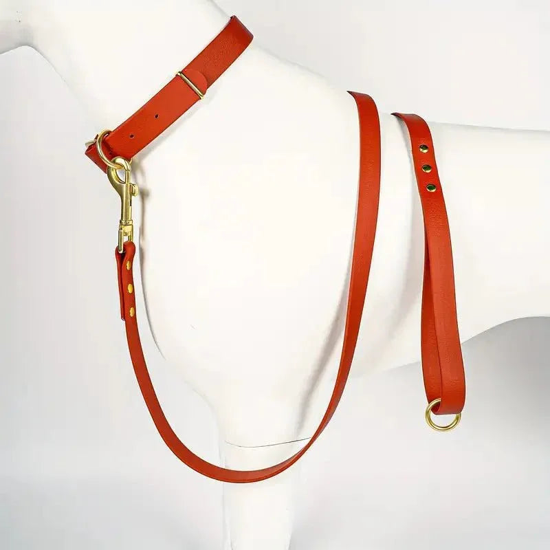 Dog Leash - Happy Tails - paws & love