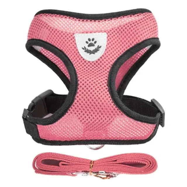 Feline Freedom Cat Harness - Happy Tails - paws & love