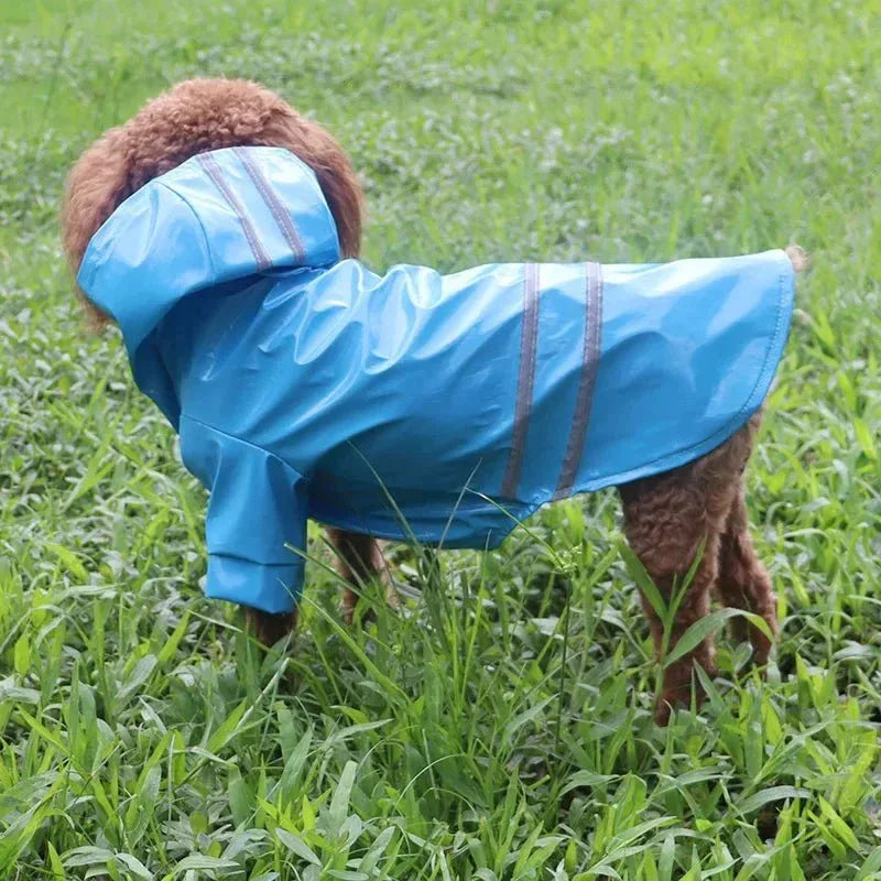 Waterproof Dog Jacket - Happy Tails - paws & love