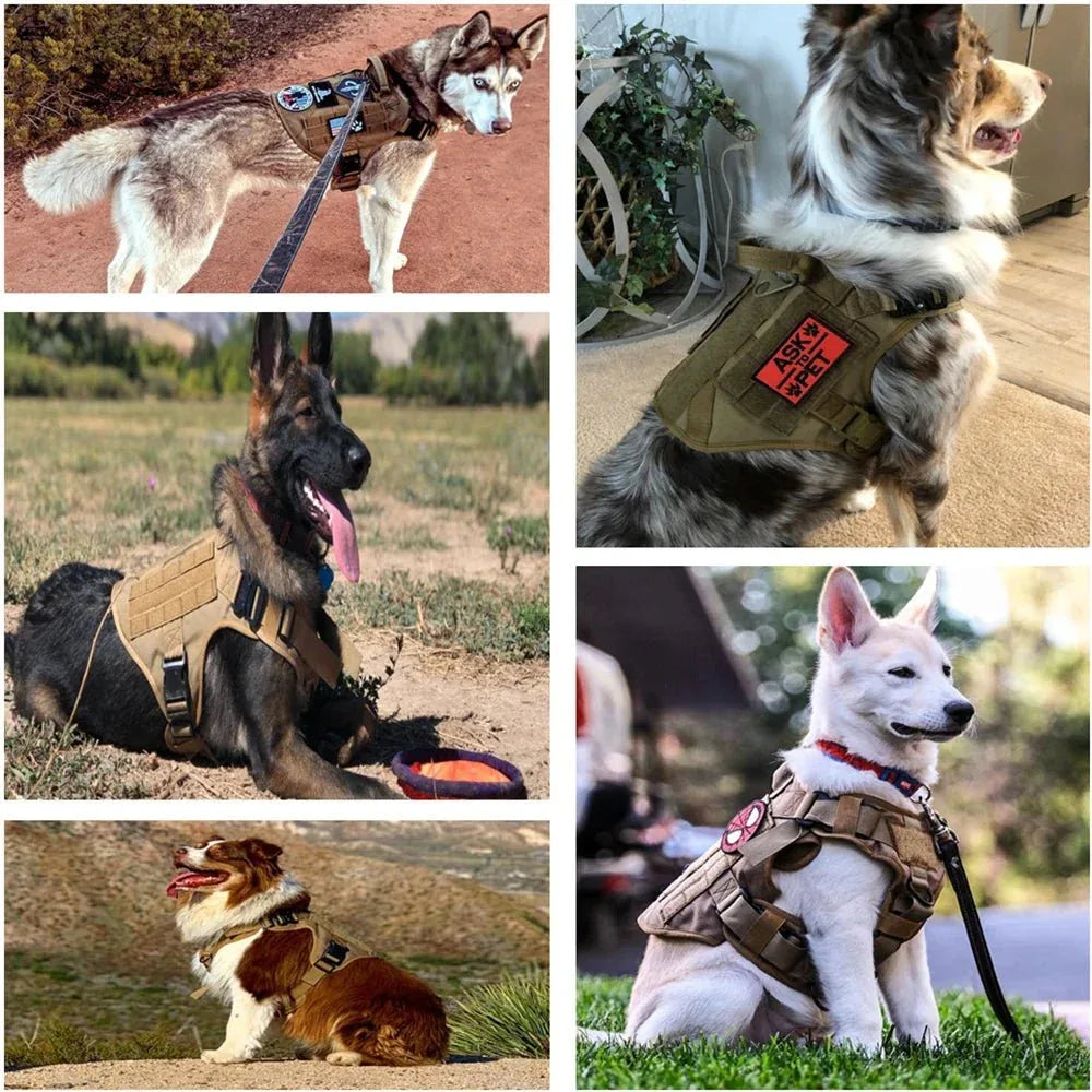 Military Dog Harness for Training - Happy Tails - paws & love