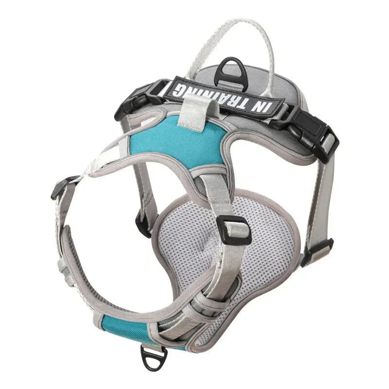 Dog Harness No Pull - Happy Tails - paws & love