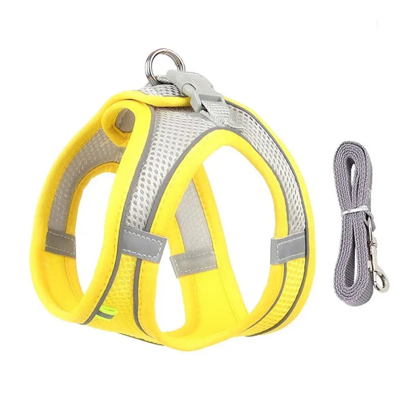 Leash & Harness Set for Small Dogs - Happy Tails - paws & love
