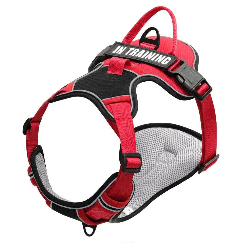 Dog Harness No Pull - Happy Tails - paws & love