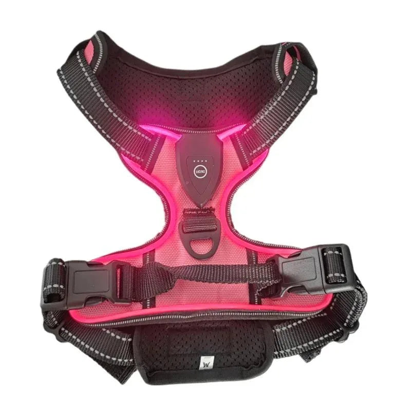 LED Dog Harness - Happy Tails - paws & love