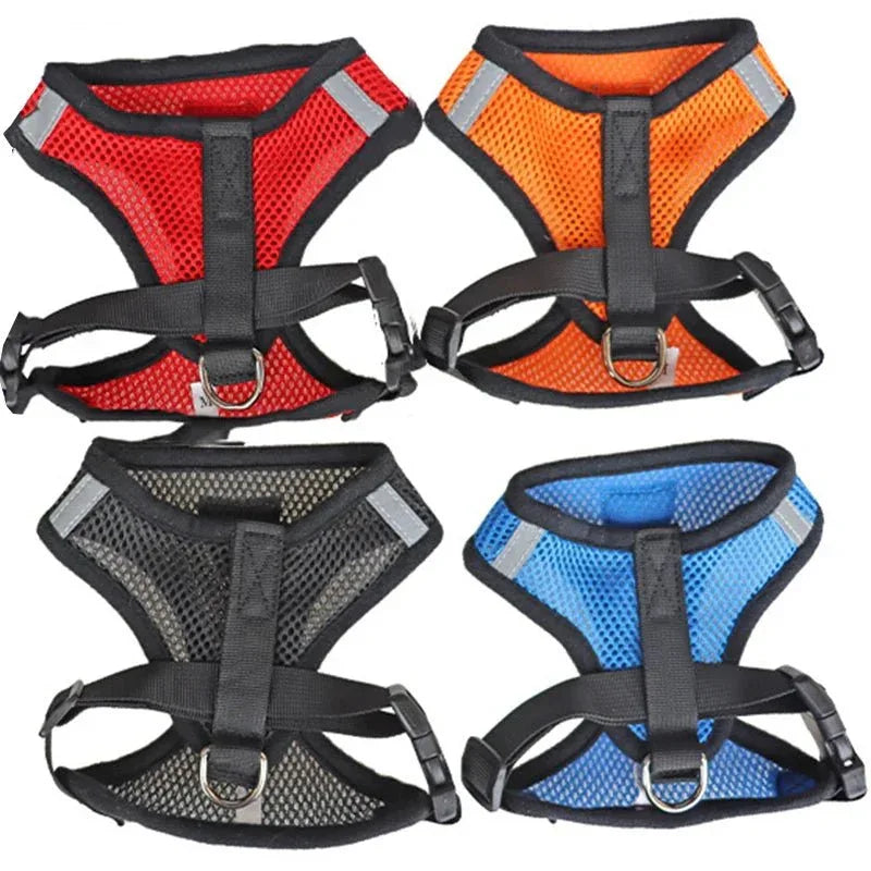 Cat & Dog Harness - Happy Tails - paws & love