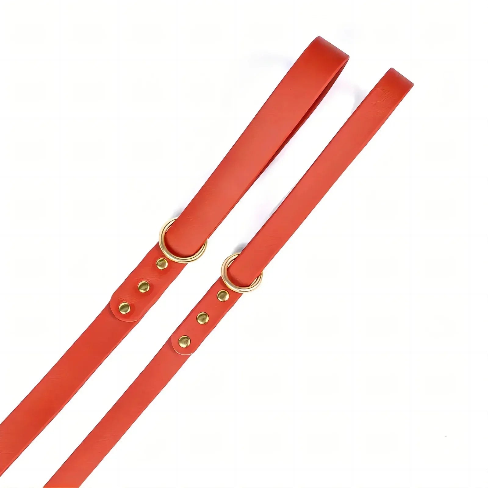 Dog Leash - Happy Tails - paws & love