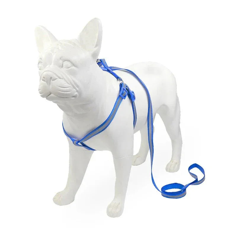 Dog Harness for Small Dogs - Happy Tails - paws & love