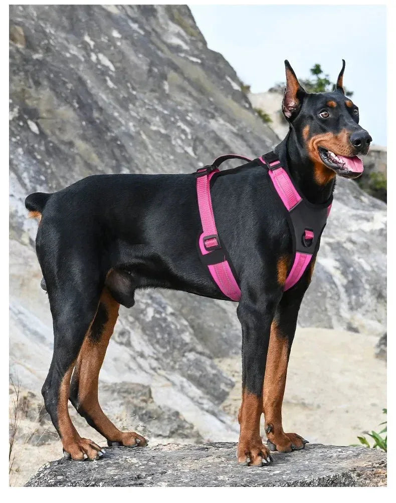 Dog Harness Reflective No-Choke - Happy Tails - paws & love