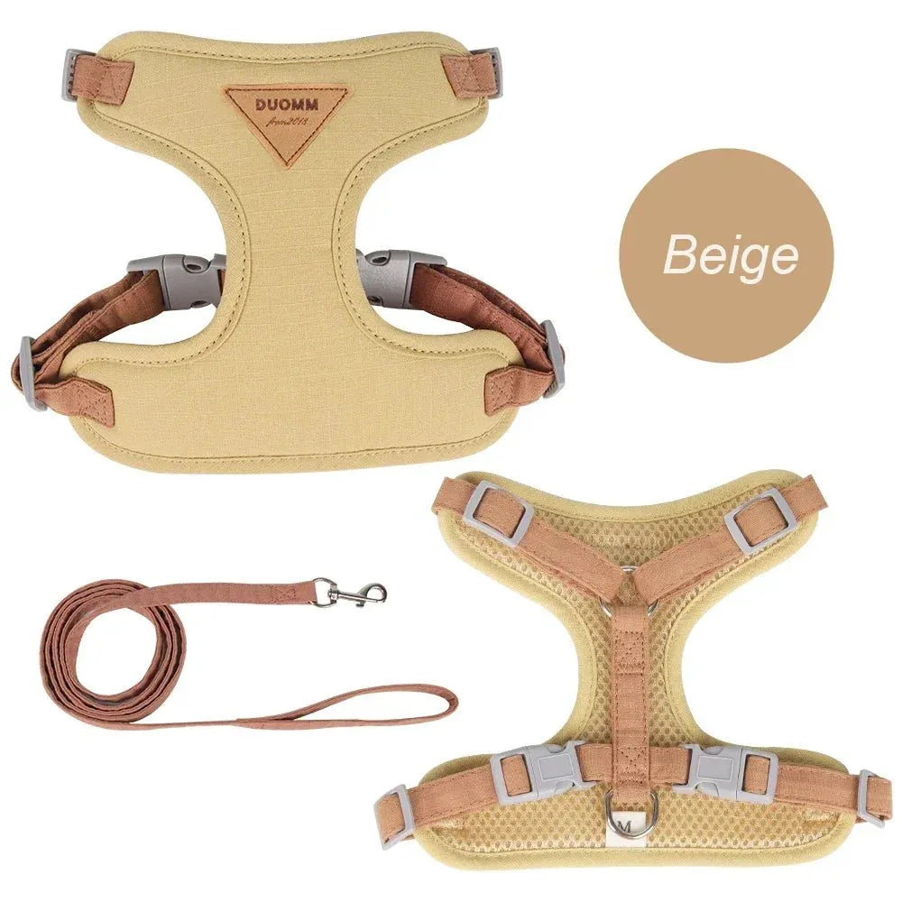 Cat Puppy Outdoor Walking Gear for Stylish Adventures - Happy Tails - paws & love