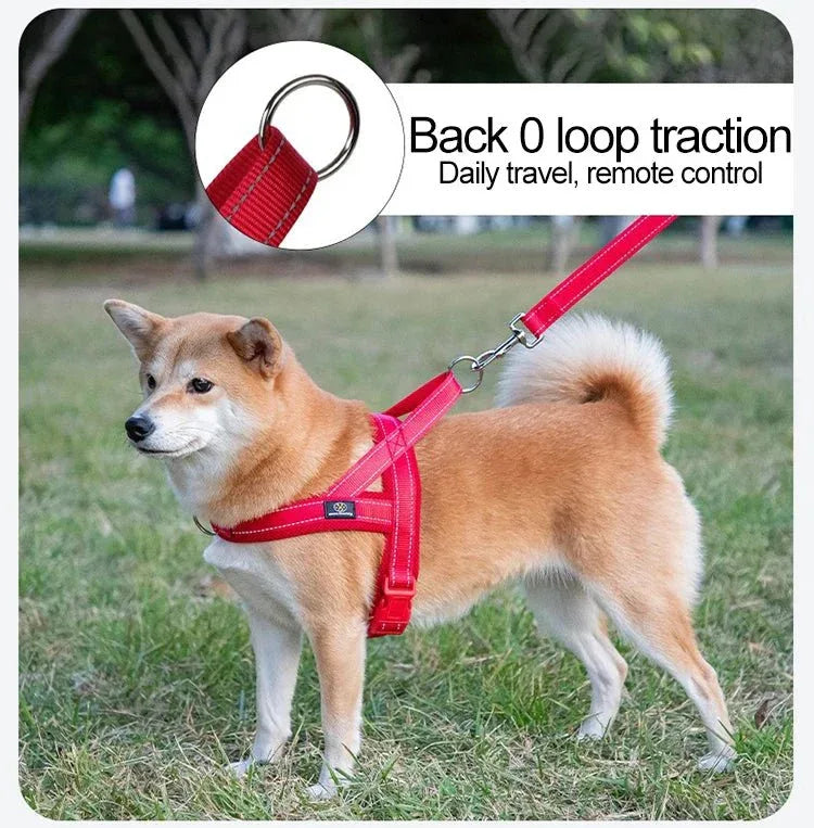 A Small Dog Harness for Comfort and Control - Happy Tails - paws & love