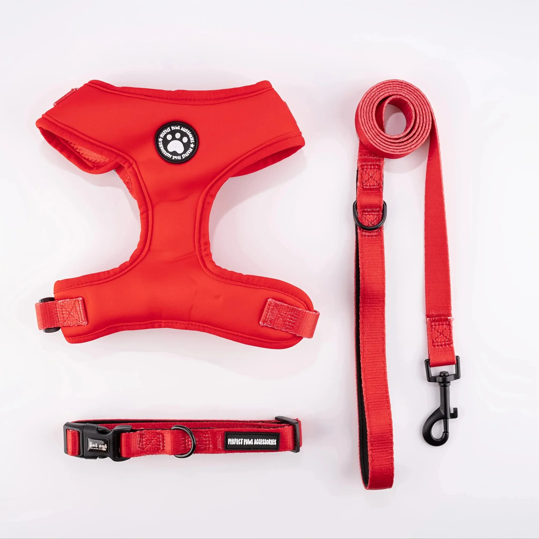 Adventure Cat Harness & Collar - Happy Tails - paws & love