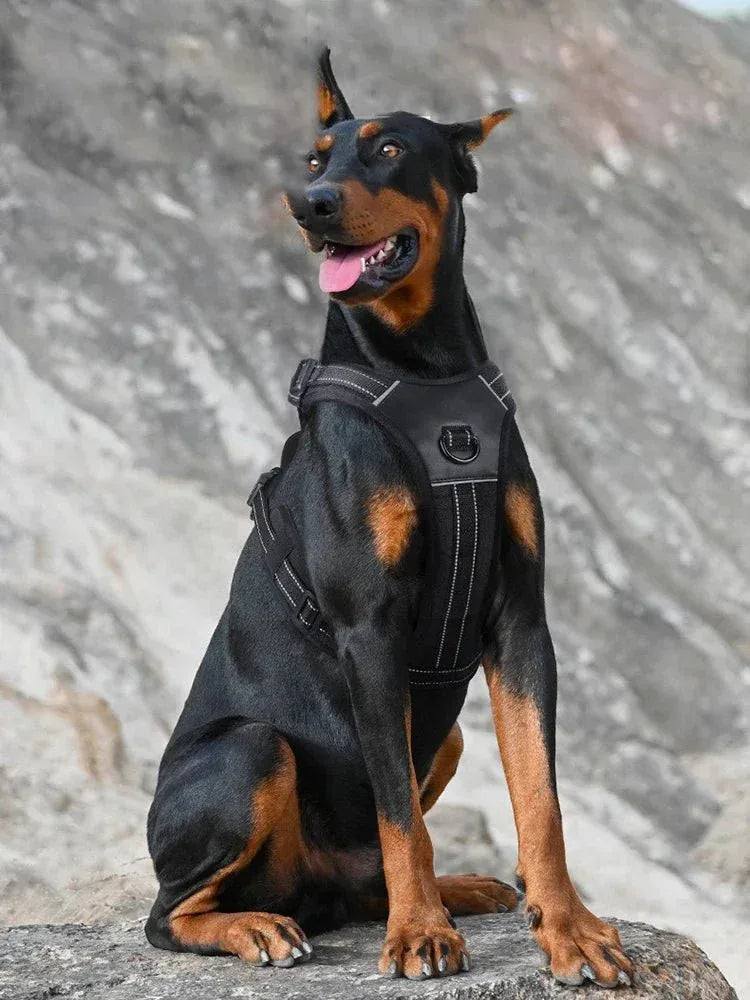 Dog Harness Reflective No-Choke - Happy Tails - paws & love