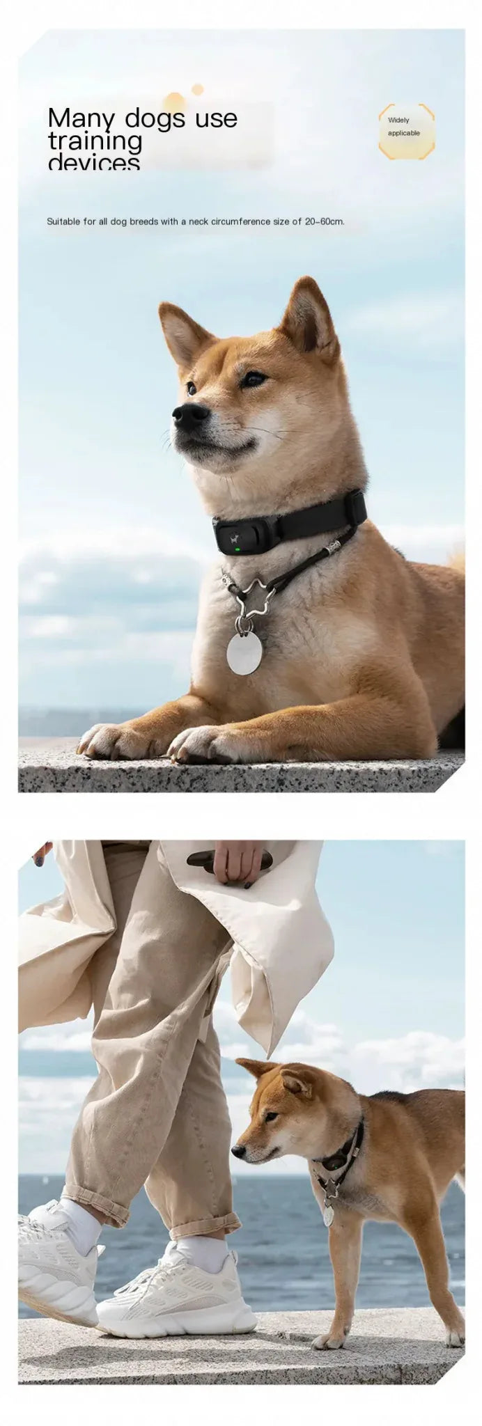 Electric Dog Training Collar - Happy Tails - paws & love