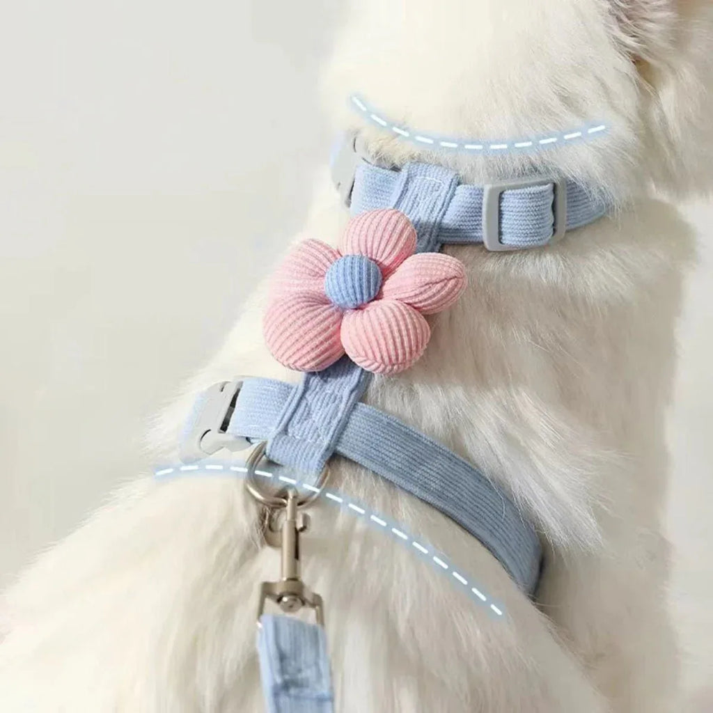 Cat Harness & Leash Set - Happy Tails - paws & love