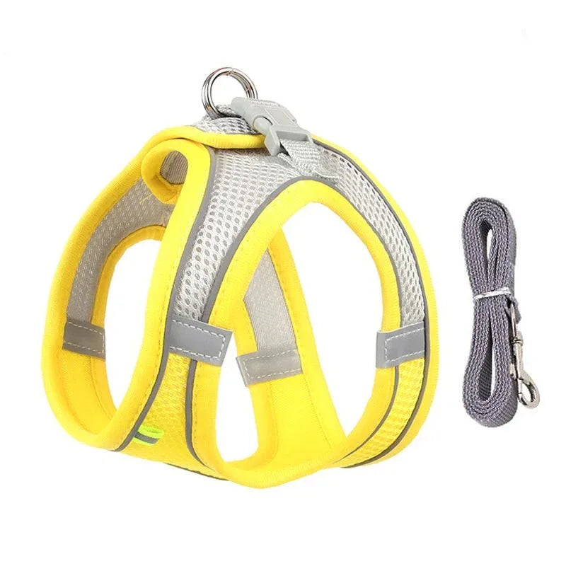 Leash & Harness Set for Small Dogs - Happy Tails - paws & love